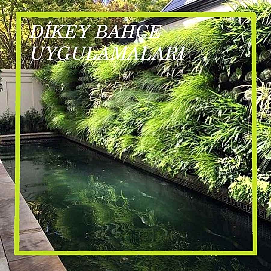 Dikey Bahçe Uygulamaları