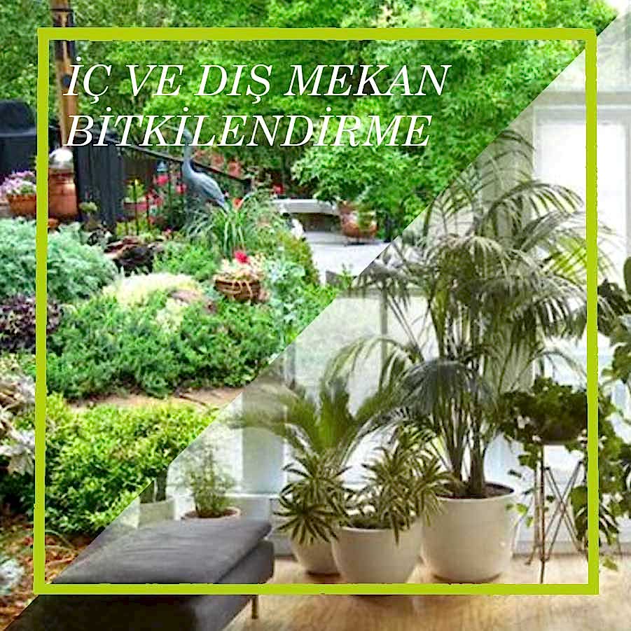 İç ve Dış Mekan Bitkilendirme